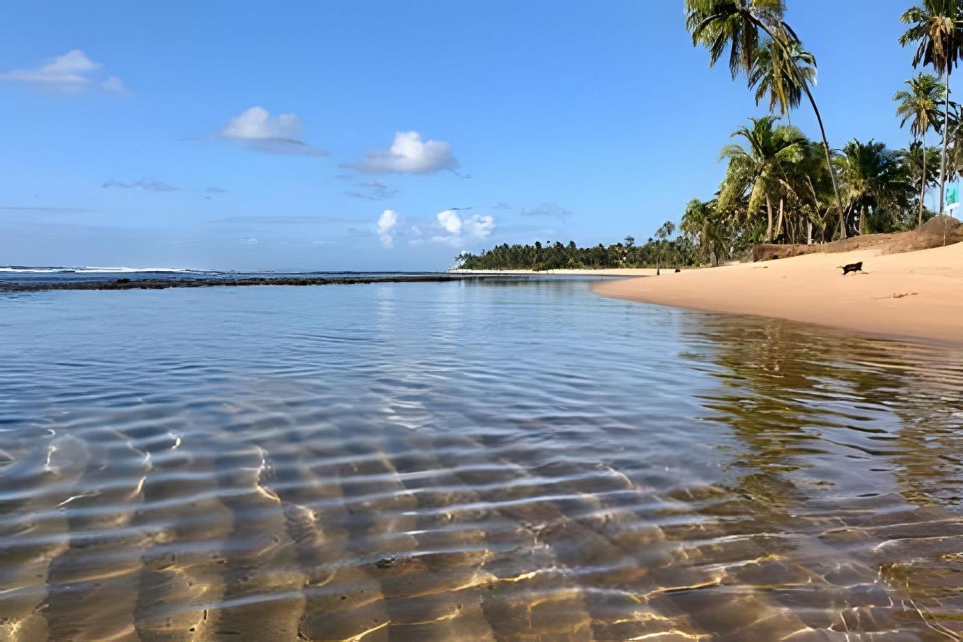 Praia Do Forte Apartamento Fantastico Bagian luar foto